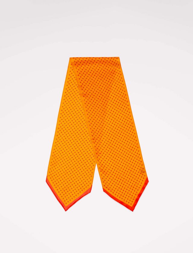 Austa pailga kaklaskarė